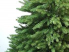 2015-12 - Skandinávský smrk detail